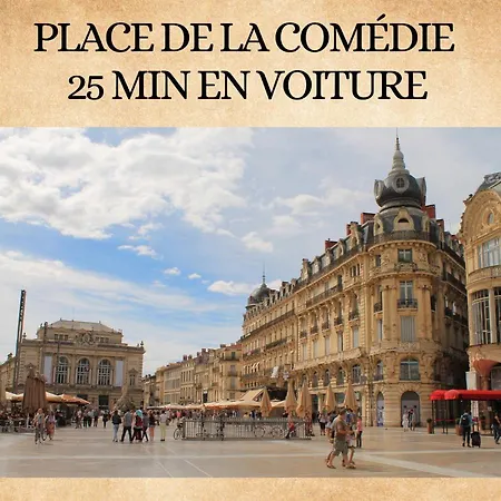Maison La Casa Bianca Proche Montpellier Ferienhaus *